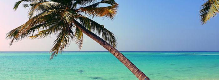 acque turchesi e barriera corallina incontaminata e ricca di colori