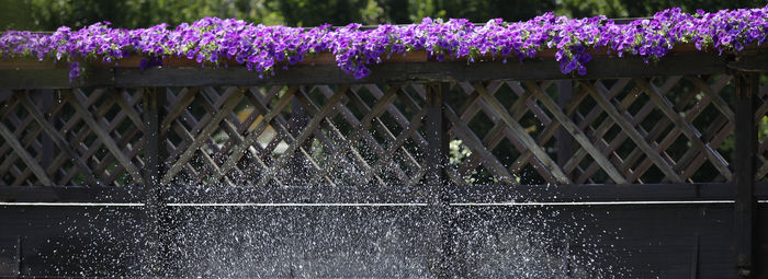 2.500 mq di wellness in Valpolicella