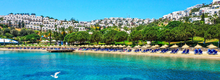 Dove il blu del mare incontra i tuoi sogni d'estate