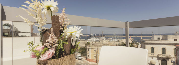 Nel centro di Gallipoli