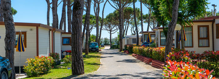 Area wellness di 1.840 mq e parco acquatico di 3.200 mq