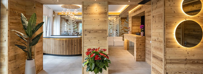 La tua porta d’accesso alla magia del Cadore