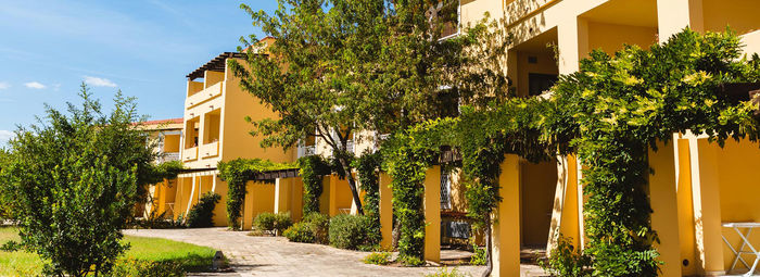 Sulla lunga spiaggia di sabbia finissima