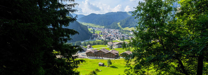 Alle pendici del Sassongher