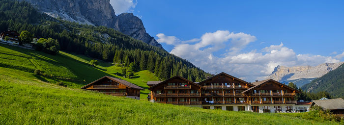 Alle pendici del Sassongher