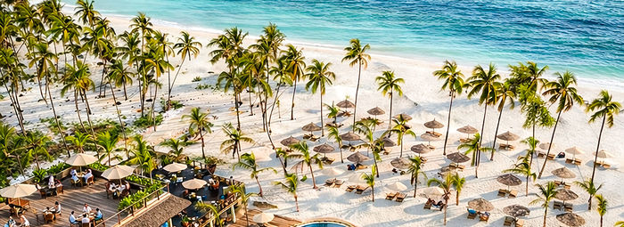 Un paradiso tropicale