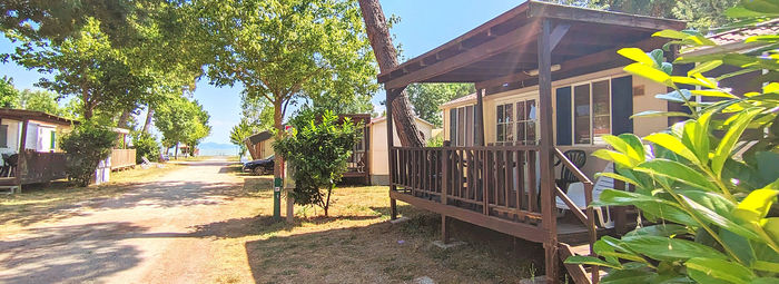 Sulle rive del Lago Trasimeno