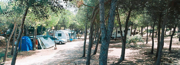 Posizione panoramica privilegiata sul Golfo dell’Asinara