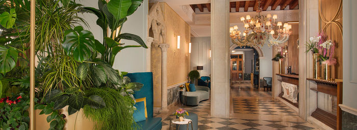 Hotel elegante a 1,5 km da Piazza San Marco