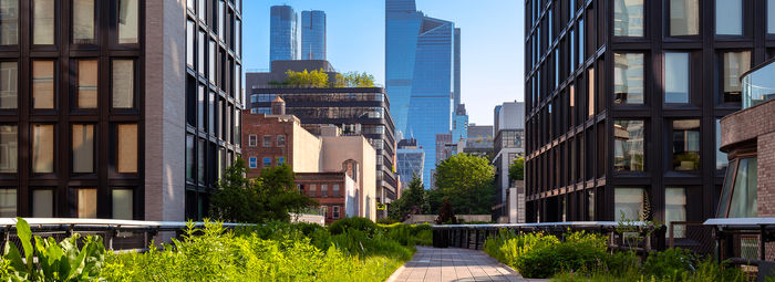 La Grande Mela in tutto il suo splendore estivo