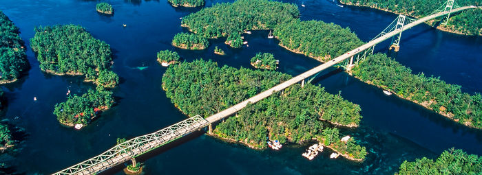 Tra metropoli, orsi, balene e cascate mozzafiato