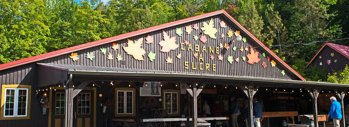 Tra metropoli, orsi, balene e cascate mozzafiato