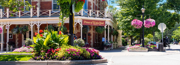 Tra metropoli, orsi, balene e cascate mozzafiato
