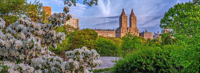 Alla scoperta di New York: da Central Park a Brooklyn