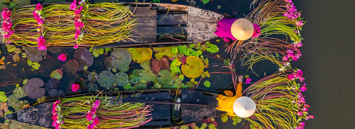 Viaggio nell’anima autentica del Vietnam