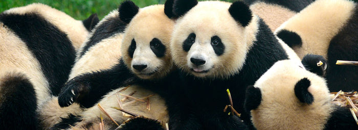 La Cina più autentica