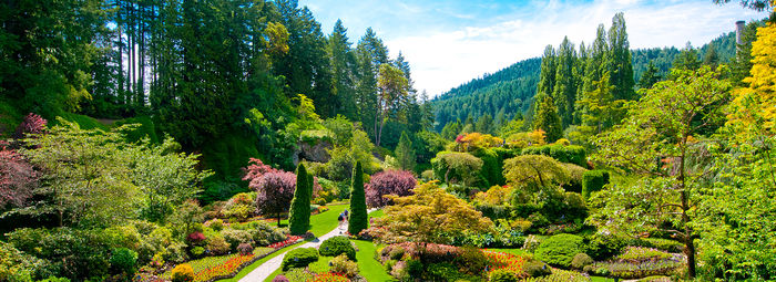 Ovest canadese iconico: tra parchi, laghi, balene e città