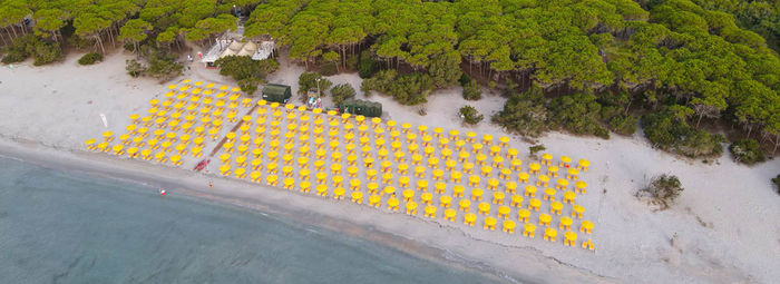A 300 metri dalla spiaggia