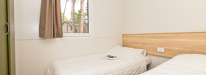 Nel cuore della pineta