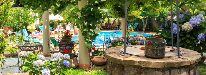 Sulle colline di Sorrento