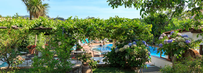 Sulle colline di Sorrento