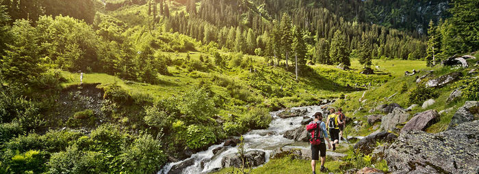 Caratteristico in stile alpino