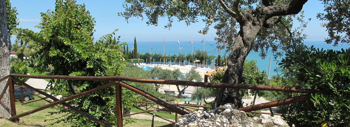 Tra 400 ulivi secolari, a 3 km dal mare della Costa del Cerrano