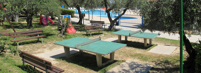 Tra 400 ulivi secolari, a 3 km dal mare della Costa del Cerrano