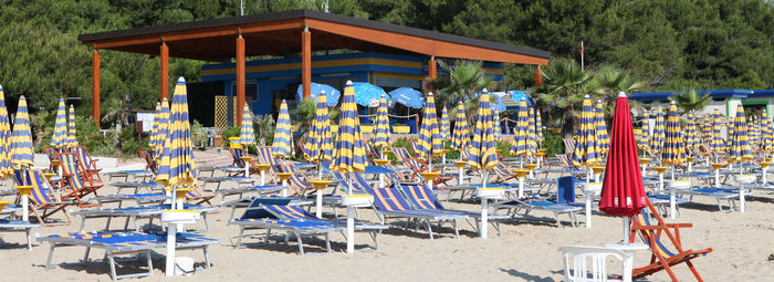 Tra 400 ulivi secolari, a 3 km dal mare della Costa del Cerrano