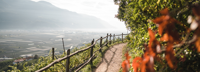 Wellness e buona cucina