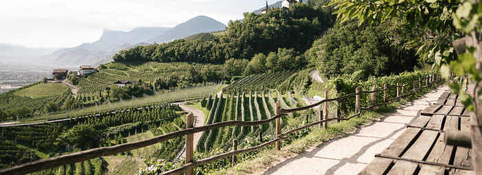 Wellness e buona cucina