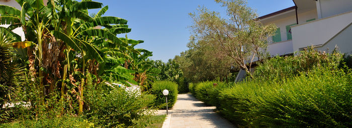 Oasi di relax immersa nel verde, fronte mare
