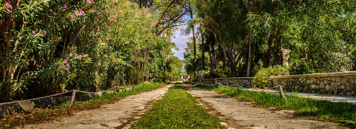 Oasi di relax immersa nel verde, fronte mare