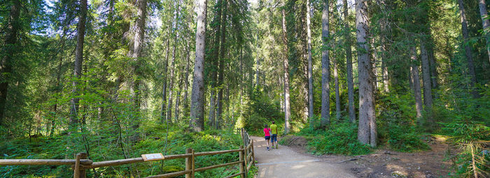 In Val di fassa, a 800 metri dalle piste da sci