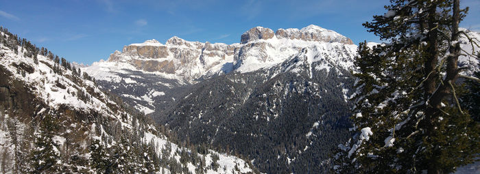 In Val di fassa, a 800 metri dalle piste da sci