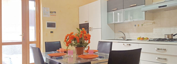 Vacanza in Salento, fino a 6 posti letto