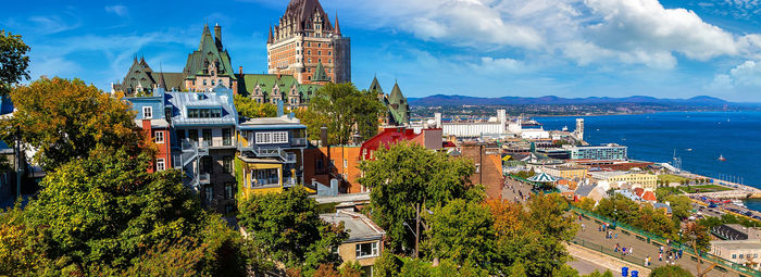 Tra metropoli, orsi, balene e cascate mozzafiato