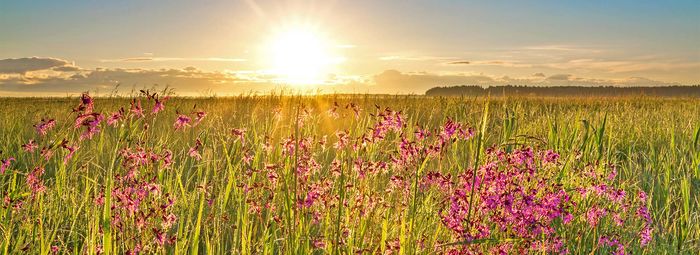 Nella campagna fiorentina, fino a 6 posti letto