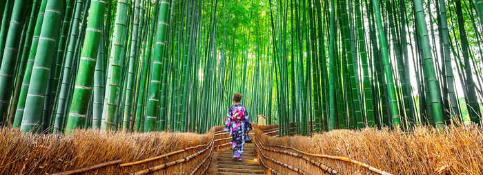 Tradizioni e templi antichi