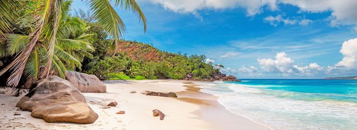 Un paradiso tropicale.