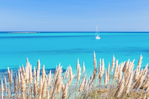 Parti in nave o in volo per le più belle spiagge