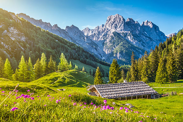 Alpi, sport, wellness e buona cucina ti aspettano!