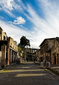 Scopri Ercolano: Tour completo con guida e prelievo incluso