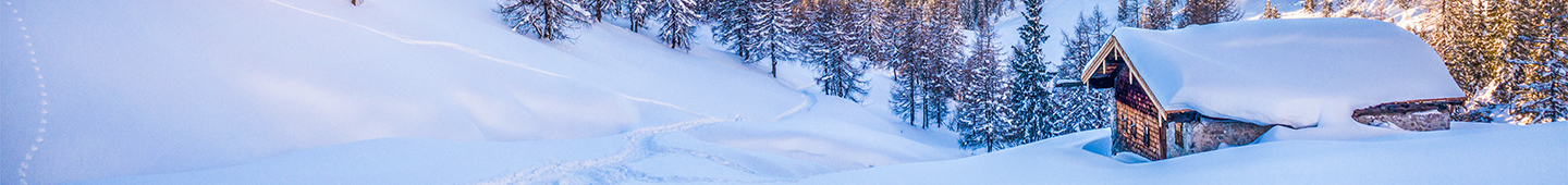 Scopri le offerte per Trentino Alto Adige e Austria