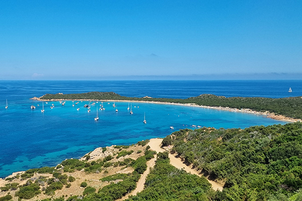 Risparmia con i pacchetti nave inclusa