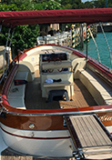 Giro in barca di Sirmione