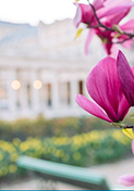 Palais Royal e Gallerie coperte | Tour audio a piedi
