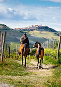 Passeggiata a cavallo in mezzo ai vigneti delle Langhe