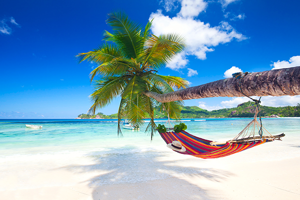 Parti con i migliori tour operator al miglior prezzo del web!