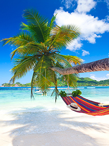 Parti con i migliori Tour Operator a prezzi scontatissimi